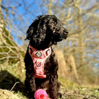 Rugged Rover™ No-Pull Dog Harness – Peachy Hearts