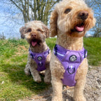 Rugged Rover™ No-Pull Dog Harness – Lilac Blush