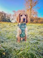 PupClub Rugged Rover Dog Harness – Evergreen Trails