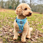 Rugged Rover™ No-Pull Dog Harness – Jurassic Party