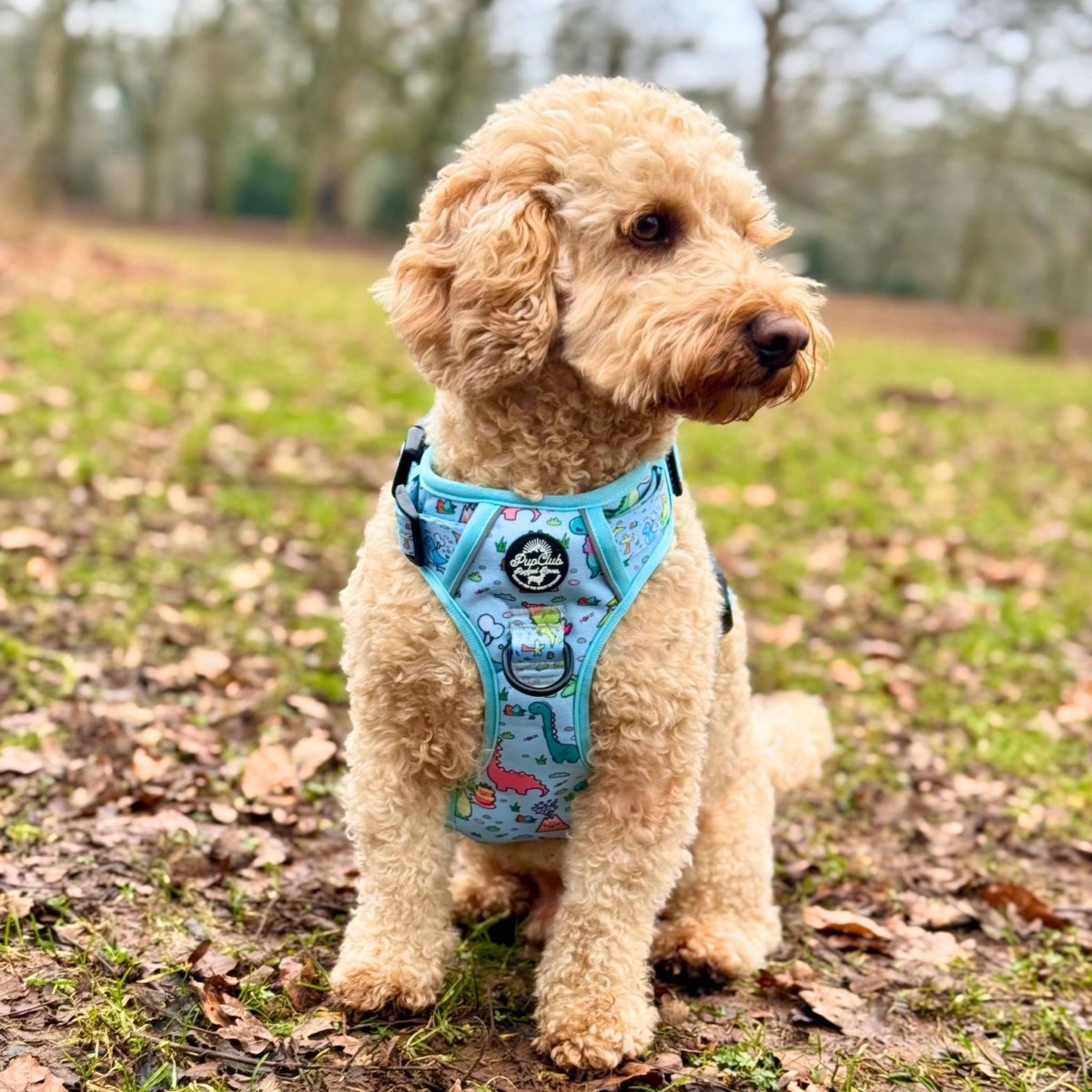 Rugged Rover™ No-Pull Dog Harness – Jurassic Party