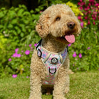 Rugged Rover™ No-Pull Dog Harness – Pretty Petals