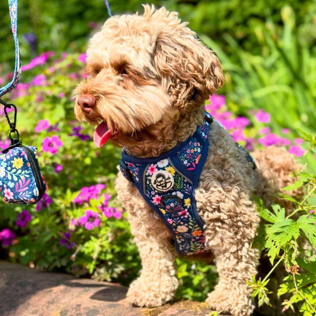 Rugged Rover™ No-Pull Dog Harness – Summer Meadow