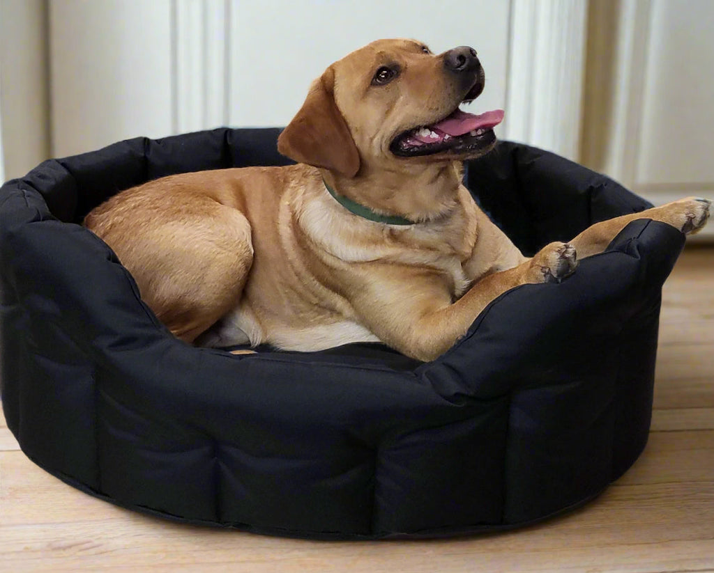 Country Dog Heavy Duty Waterproof Oval Dog Bed