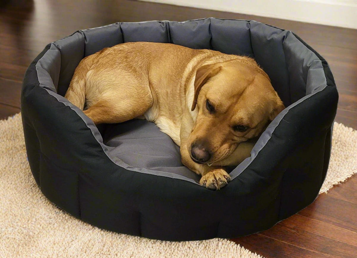 Country Dog Heavy Duty Waterproof Oval Dog Bed