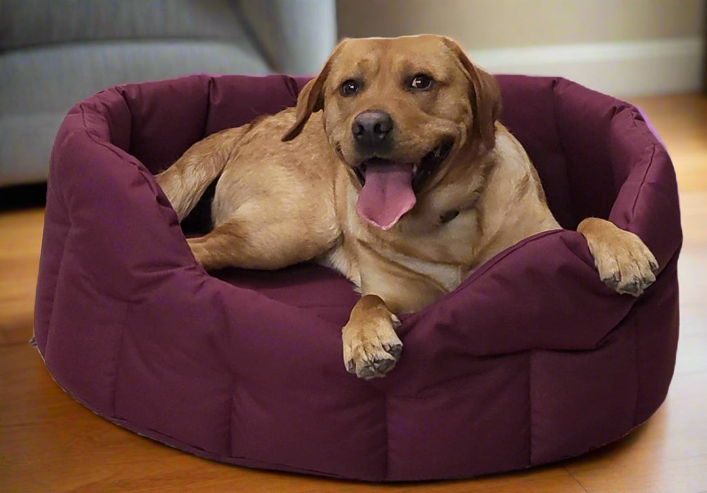 Country Dog Heavy Duty Waterproof Oval Dog Bed