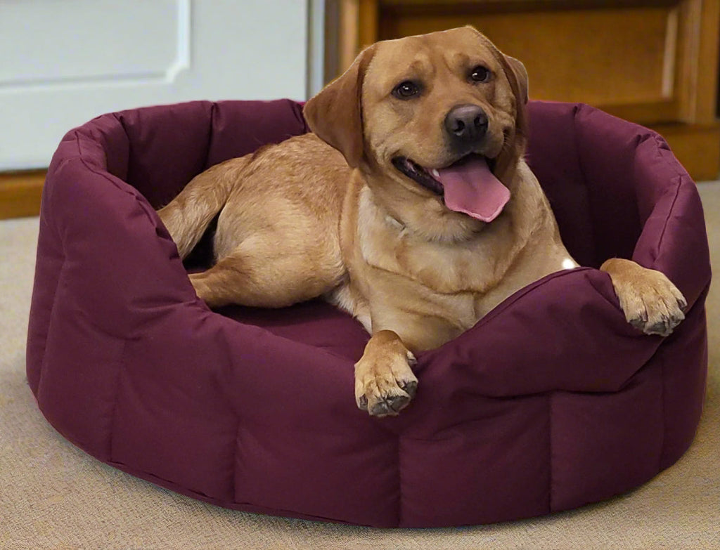 Country Dog Heavy Duty Waterproof Oval Dog Bed