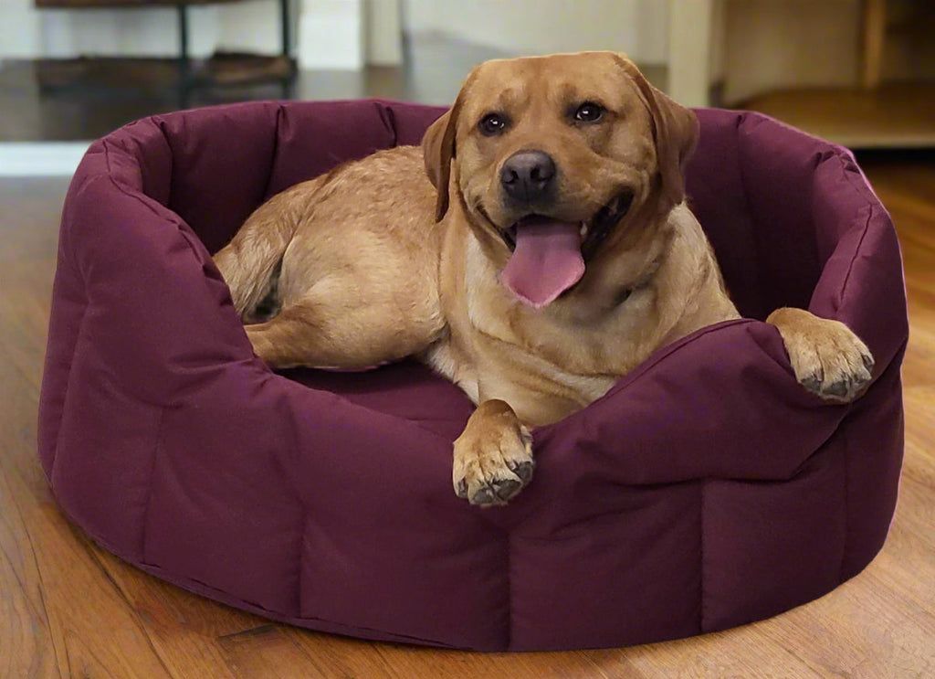 Country Dog Heavy Duty Waterproof Oval Dog Bed