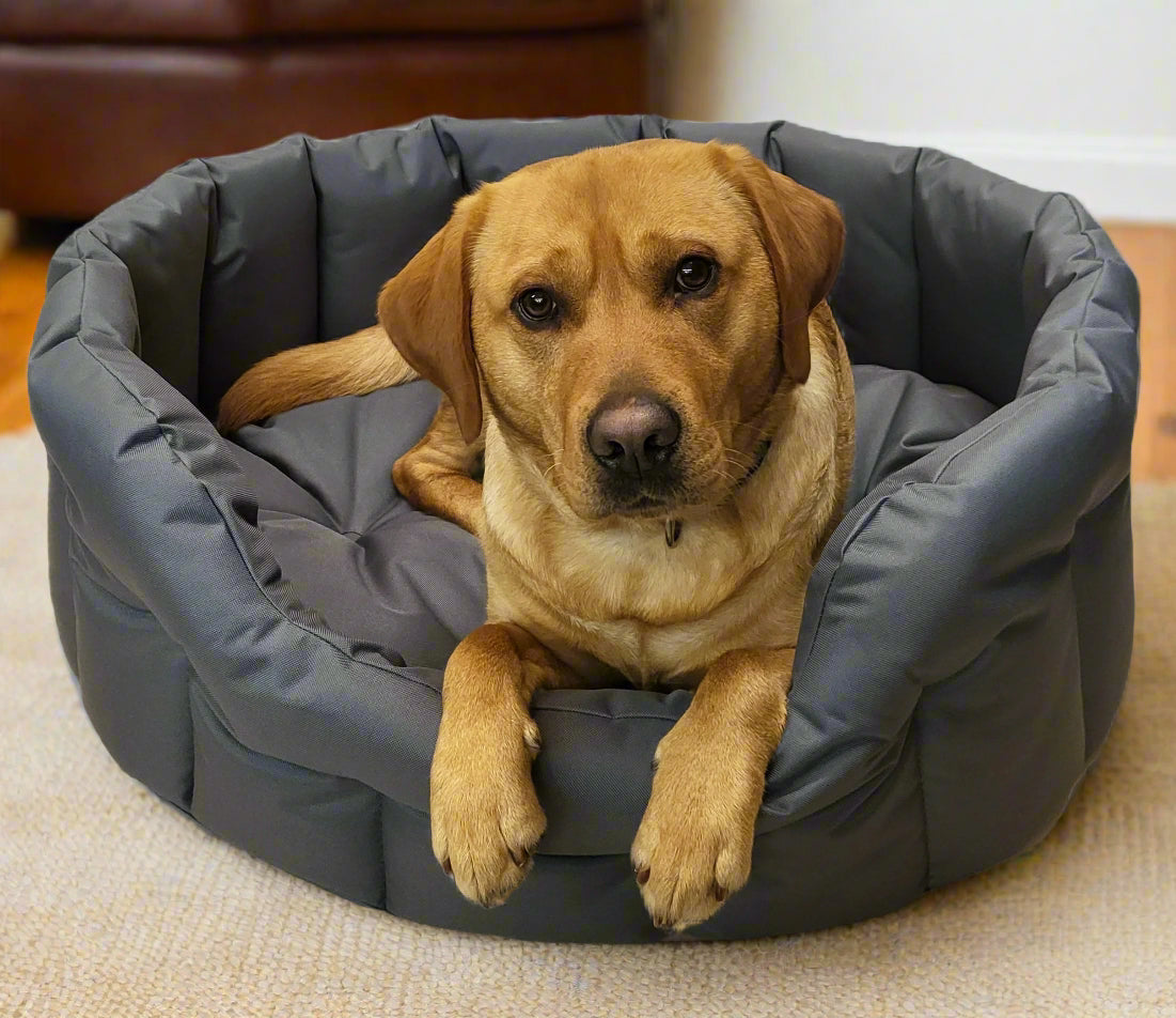 Country Dog Heavy Duty Waterproof Oval Dog Bed