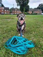 Lemon – Waterproof BioThane© Dog Long Line Lead
