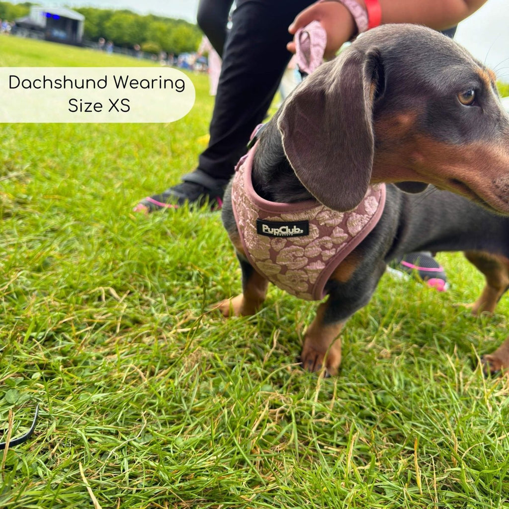 PupClub Luxe Adjustable Dog Harness – Mocha Petals