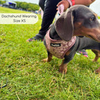 PupClub Luxe Adjustable Dog Harness – Mocha Petals