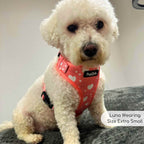 PupClub Adjustable Dog Harness – Peachy Hearts