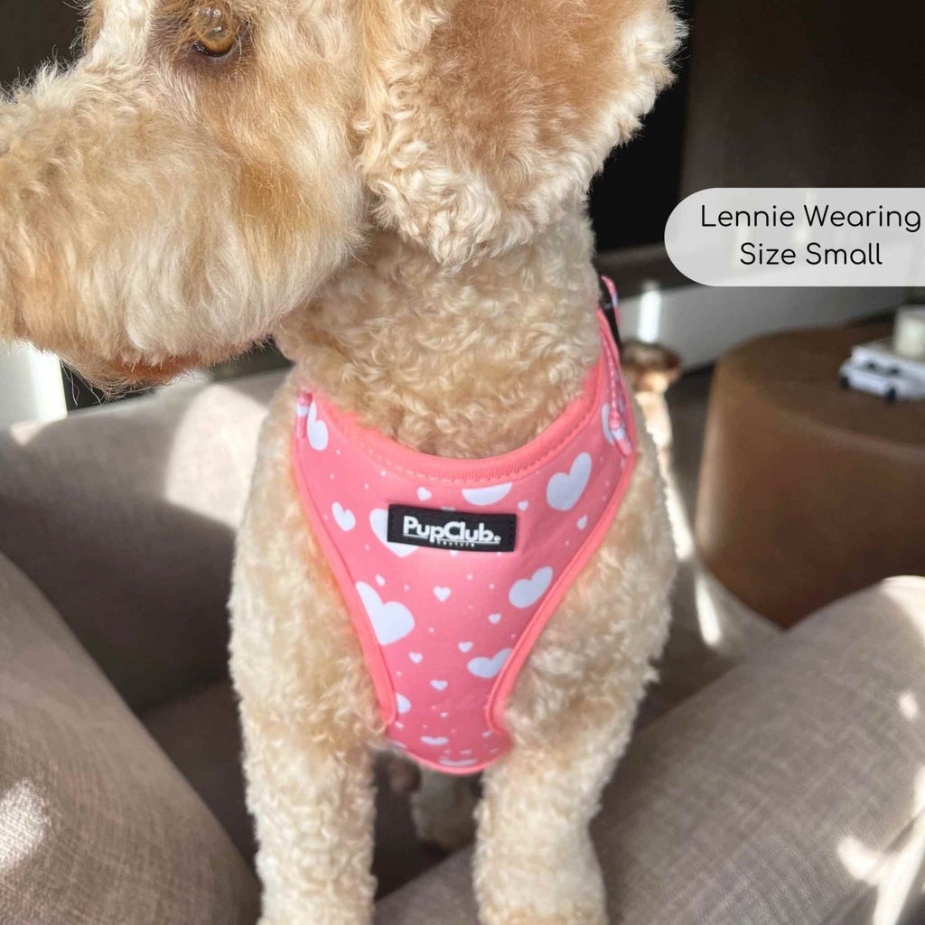 PupClub Adjustable Dog Harness – Peachy Hearts