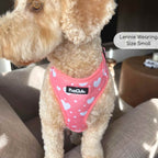 PupClub Adjustable Dog Harness – Peachy Hearts