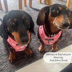 PupClub Adjustable Dog Harness – Peachy Hearts