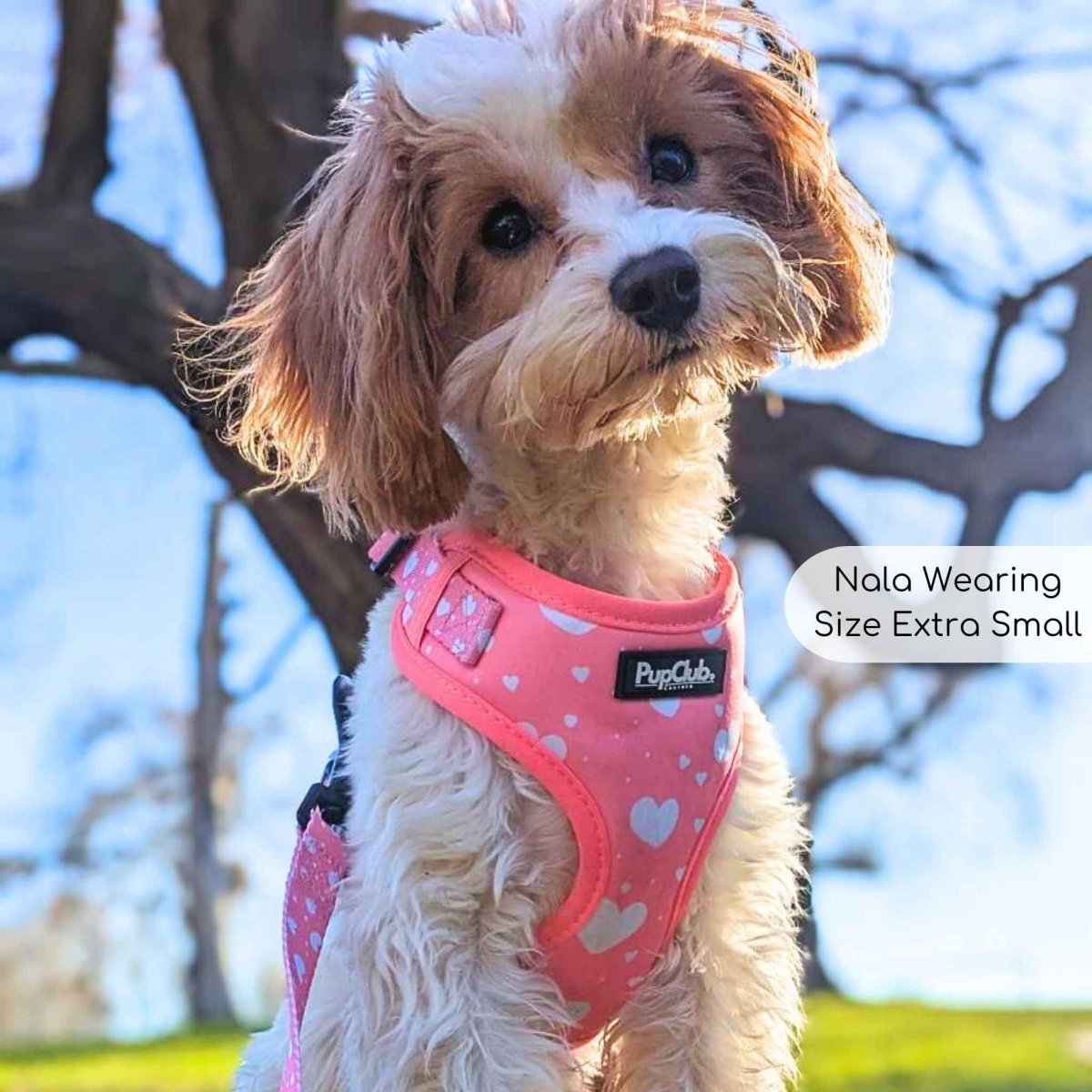 PupClub Adjustable Dog Harness – Peachy Hearts