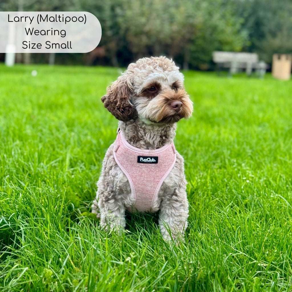 Tweed Adjustable Dog Harness – Pink