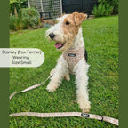 PupClub Luxe Adjustable Dog Harness – Toffee Latte Petals