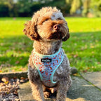 Adjustable Dog Harness – Woodland Friends