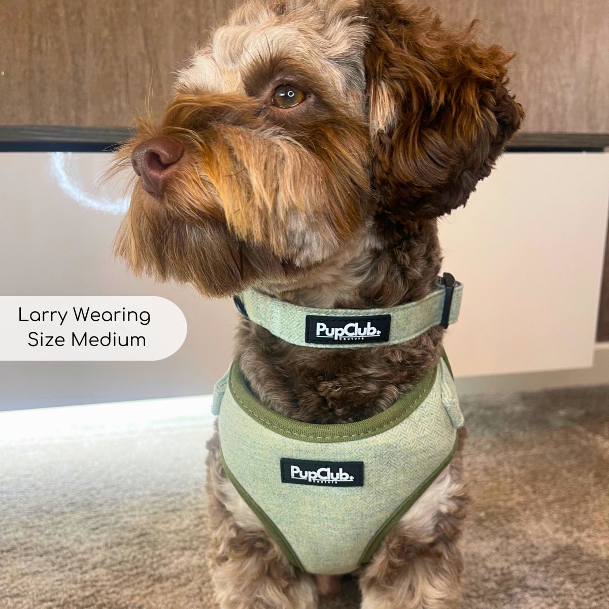Dog Collar – Tweed Sage