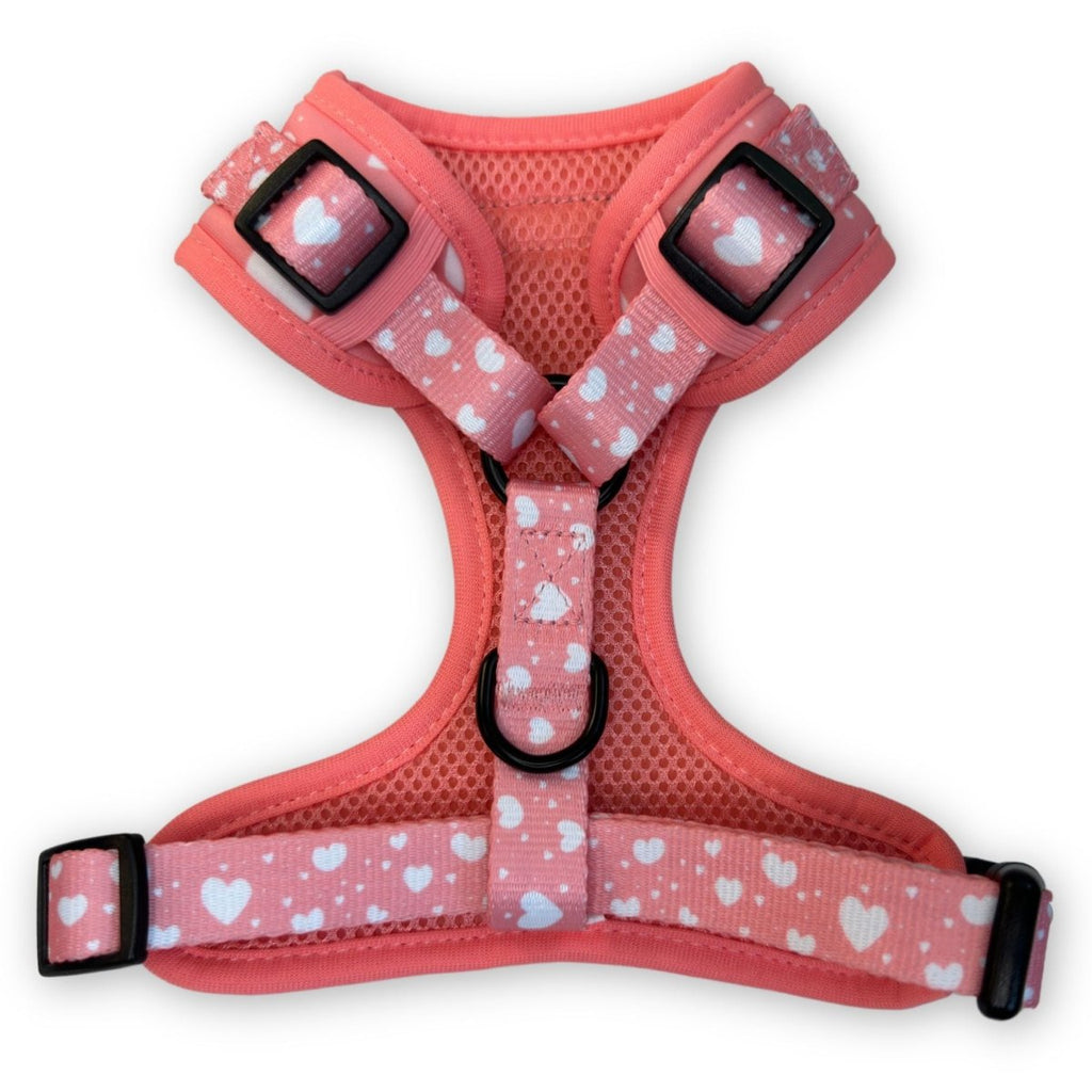 PupClub Adjustable Dog Harness – Peachy Hearts
