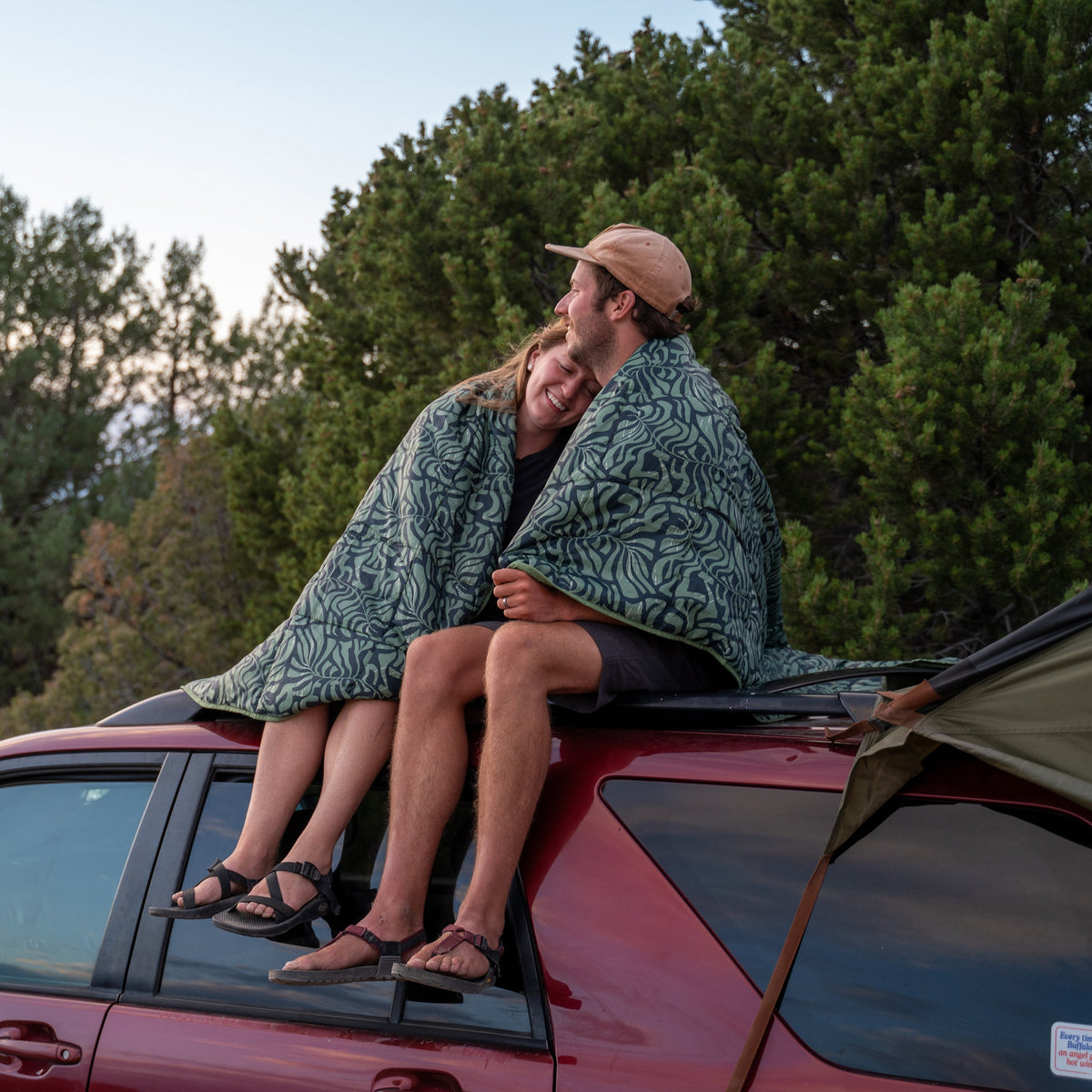 Kelty Biggie Blanket - Dill/Fern
