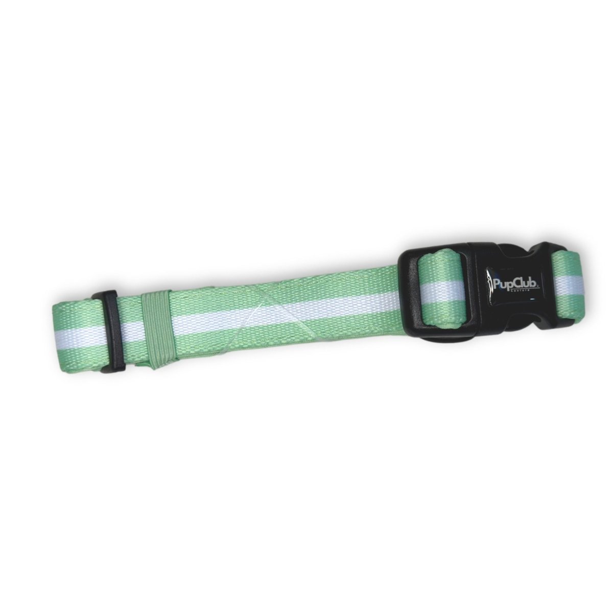 Dog Collar – Pastel Mint
