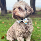 Dog Bow Tie – Bee-utiful Summer