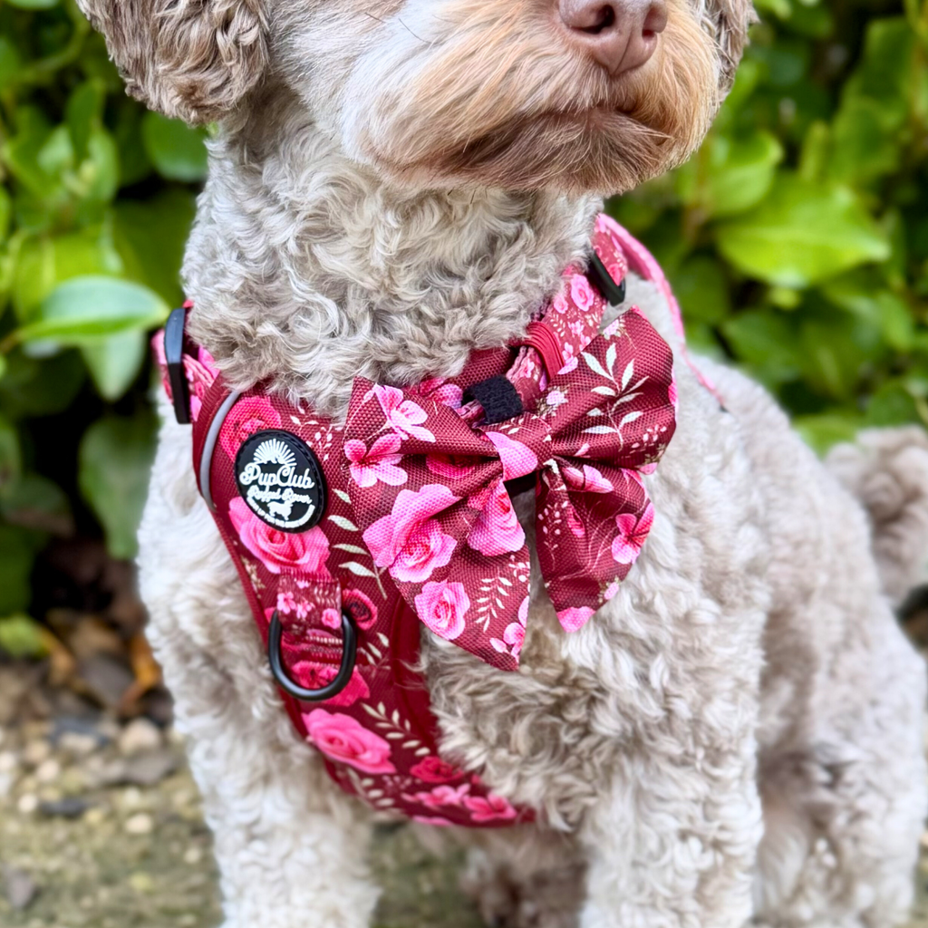 PupClub Dog Sailor Bow – Burgundy Bloom