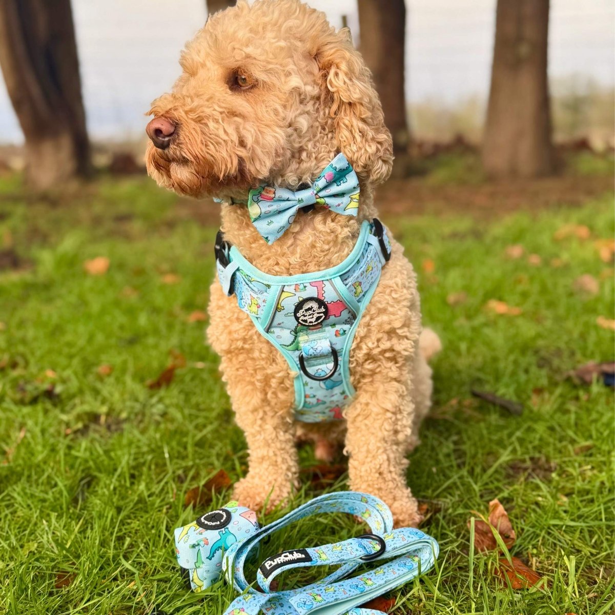 Dog Bow Tie – Jurassic Party