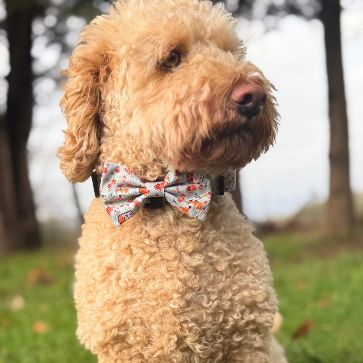 Dog Bow Tie – Woodland Friends