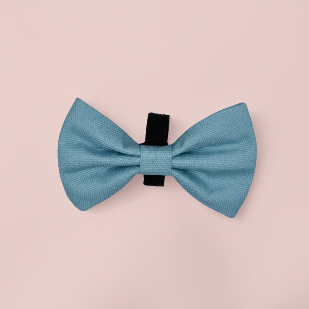 Dog Bow Tie – Pastel Blue