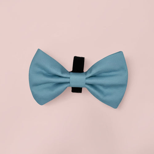 Dog Bow Tie – Pastel Blue