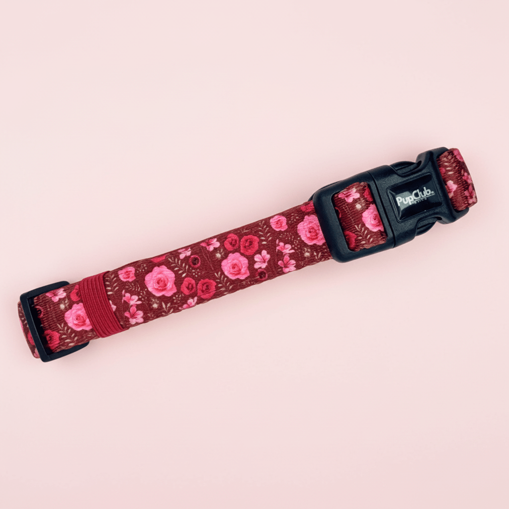 Dog Collar – Burgundy Bloom