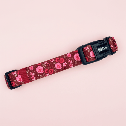 Dog Collar – Burgundy Bloom
