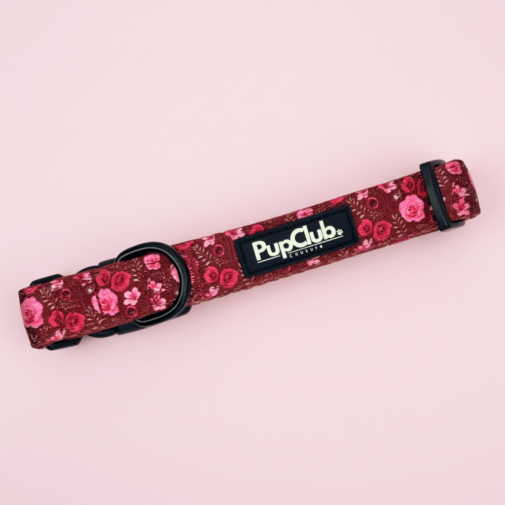 Dog Collar – Burgundy Bloom