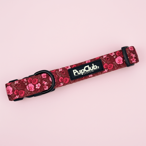 Dog Collar – Burgundy Bloom