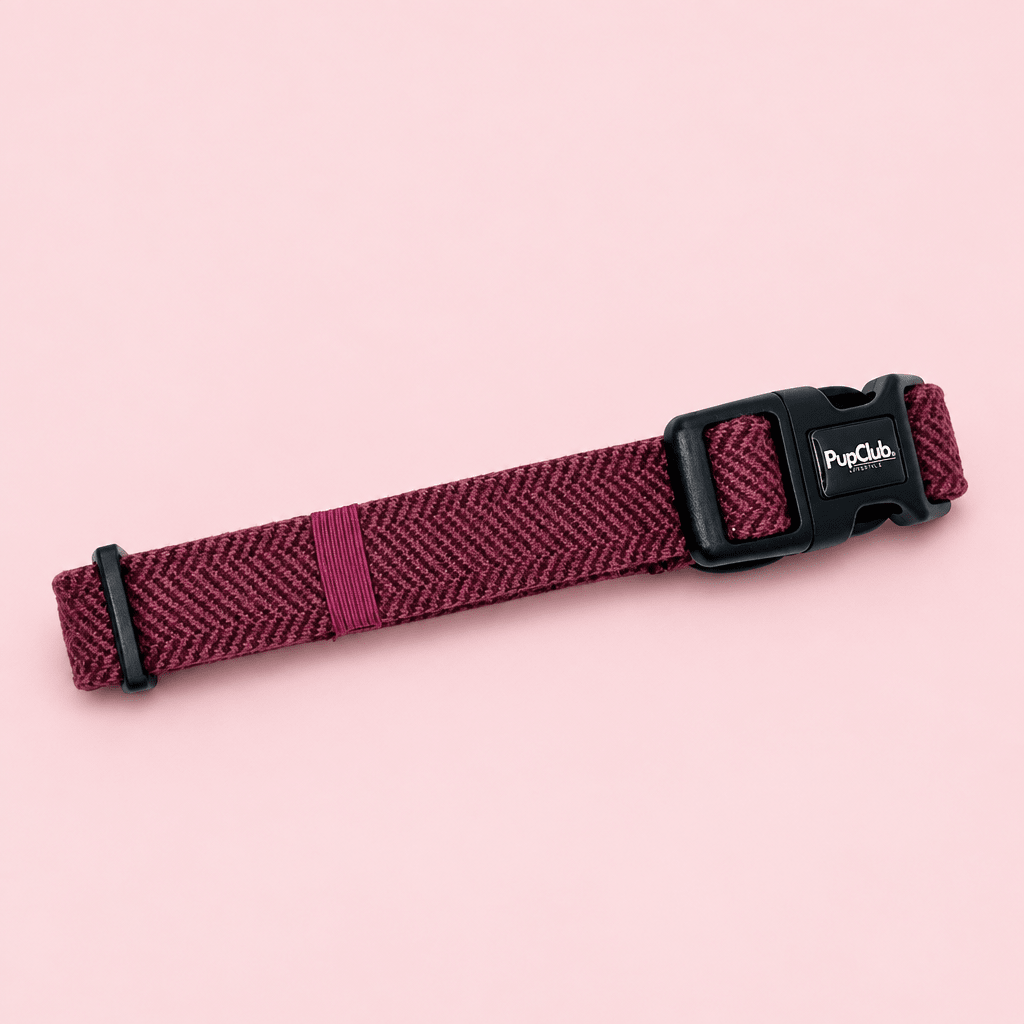 PupClub Dog Collar – Berry Tweed