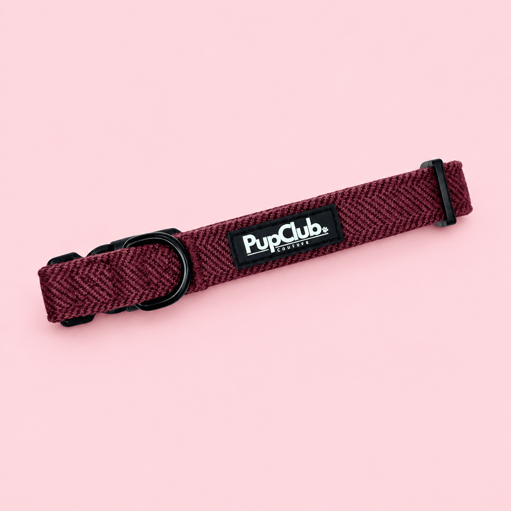 PupClub Dog Collar – Berry Tweed
