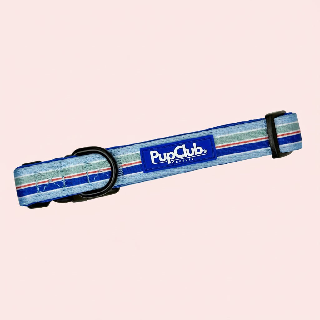 Dog Collar – Sea Breeze Stripes