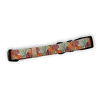 Dog Collar – Autumn Breeze