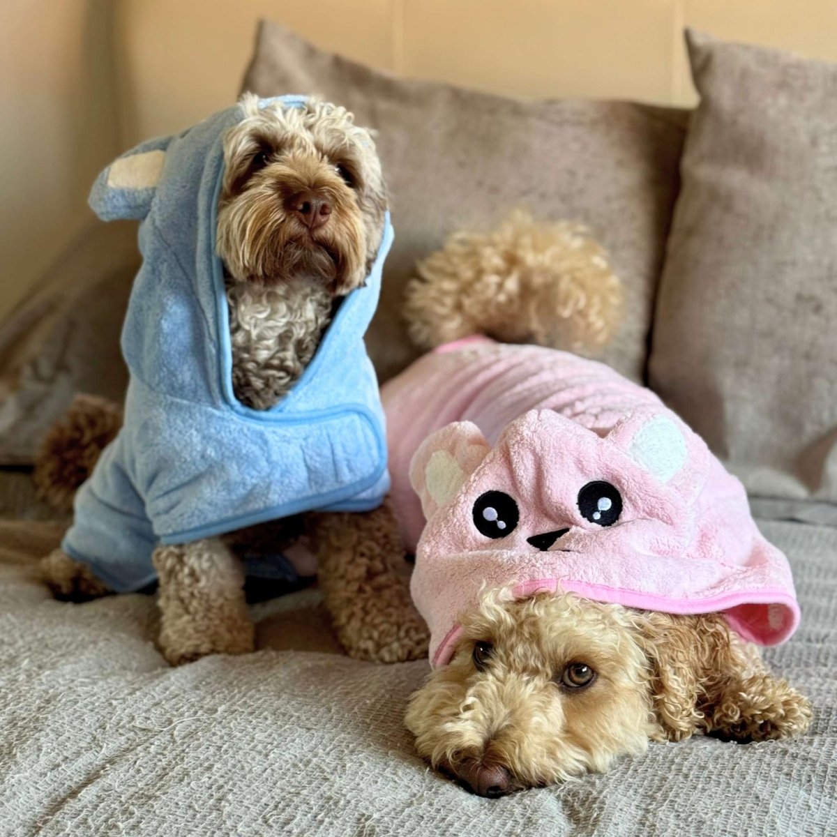 Dog Drying Robe – Blue