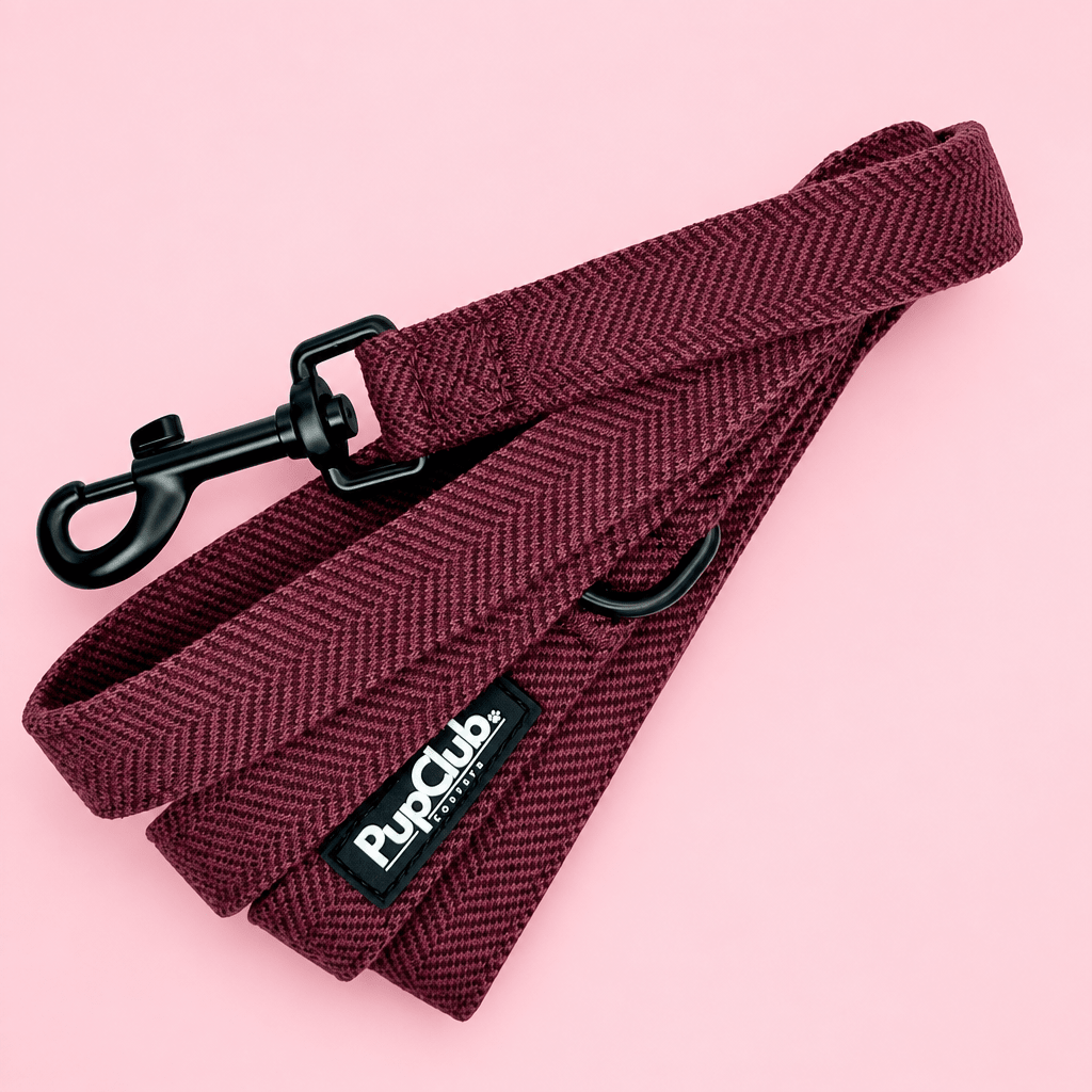 PupClub Dog Lead – Berry Tweed