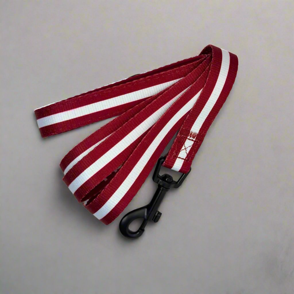 Dog Lead – Berry Red