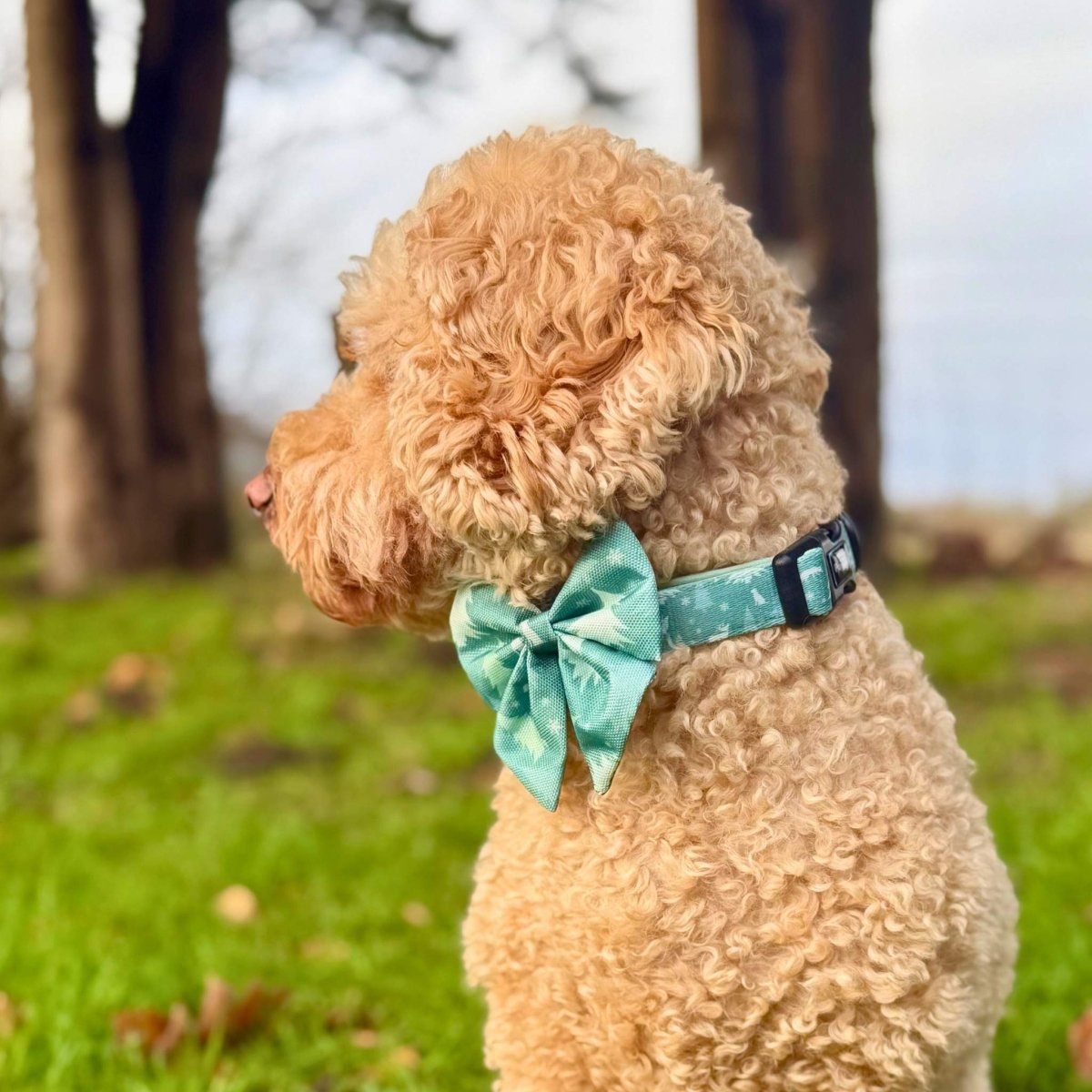 Dog Sailor Bow – Evergreen Trails