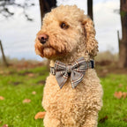 PupClub Dog Sailor Bow – Foxbury Plaid