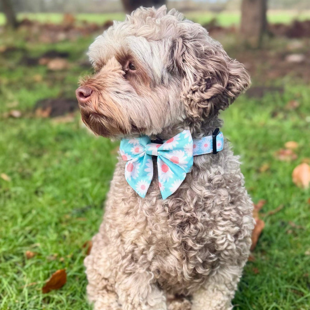 Dog Sailor Bow – Pastel Daisy