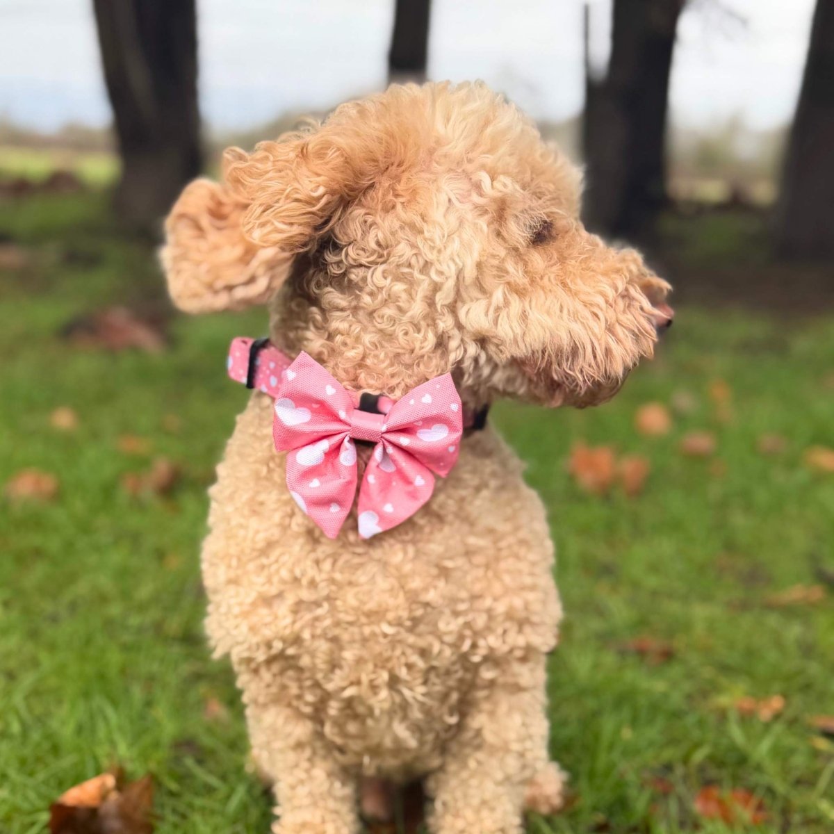 Dog Sailor Bow – Peachy Hearts