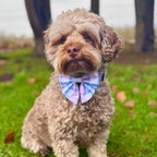 Dog Sailor Bow – Pink Tartan